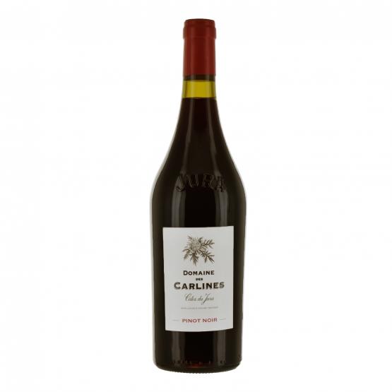 Pinot Noir 2023 Rouge Plaisirs du Vin - Dax Saint-Paul-lès-Dax FR 1141 Boulevard Saint-Vincent-de-Paul