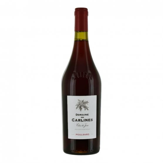 Poulsard 2023 Rouge Plaisirs du Vin - Dax Saint-Paul-lès-Dax FR 1141 Boulevard Saint-Vincent-de-Paul