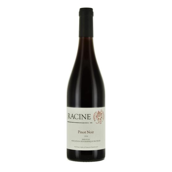 Racine Pinot noir 2025 Rouge Plaisirs du Vin - Dax Saint-Paul-lès-Dax FR 1141 Boulevard Saint-Vincent-de-Paul