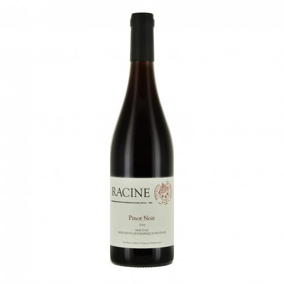 Racine Pinot noir 2022 Rouge Plaisirs du Vin - Dax Saint-Paul-lès-Dax FR 1141 Boulevard Saint-Vincent-de-Paul