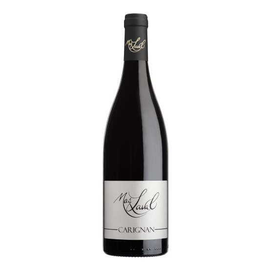 Carignan 2025 Rouge Plaisirs du Vin - Dax Saint-Paul-lès-Dax FR 1141 Boulevard Saint-Vincent-de-Paul