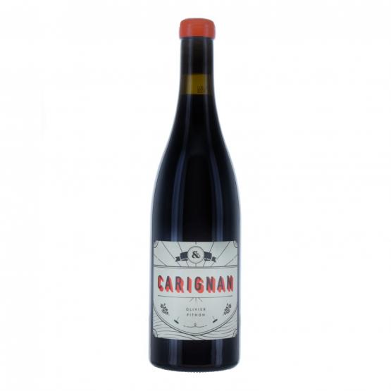 Carignan 2019 Rouge Plaisirs du Vin - Dax Saint-Paul-lès-Dax FR 1141 Boulevard Saint-Vincent-de-Paul