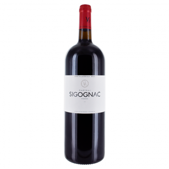 Château Sigognac Magnum 2016 Rouge Plaisirs du Vin - Dax Saint-Paul-lès-Dax FR 1141 Boulevard Saint-Vincent-de-Paul