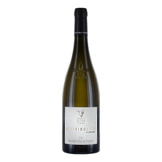 Amphibolite de Grandlieu 2023 Blanc Plaisirs du Vin - Dax Saint-Paul-lès-Dax FR 1141 Boulevard Saint-Vincent-de-Paul