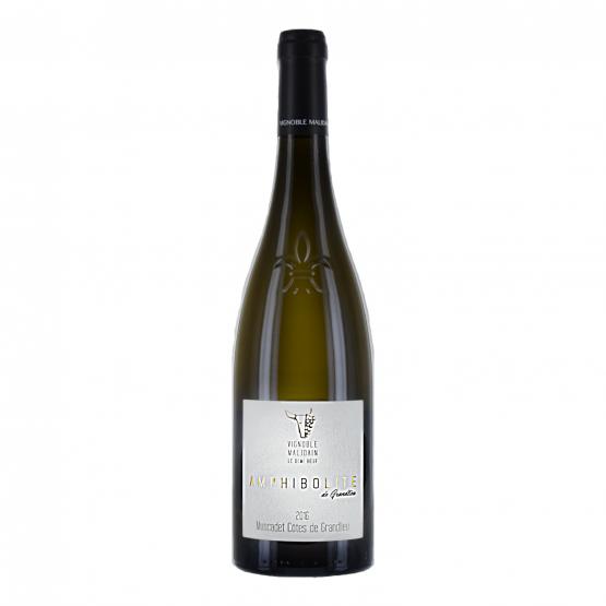 Amphibolite de Grandlieu 2018 Blanc Plaisirs du Vin - Dax Saint-Paul-lès-Dax FR 1141 Boulevard Saint-Vincent-de-Paul