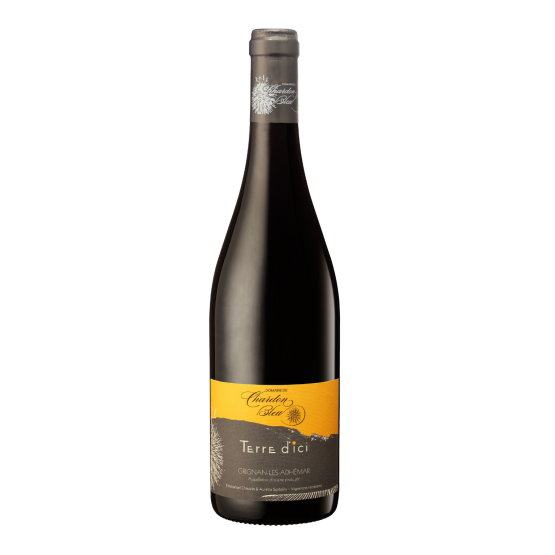 Terre d'Ici 2023 Rouge Plaisirs du Vin - Dax Saint-Paul-lès-Dax FR 1141 Boulevard Saint-Vincent-de-Paul