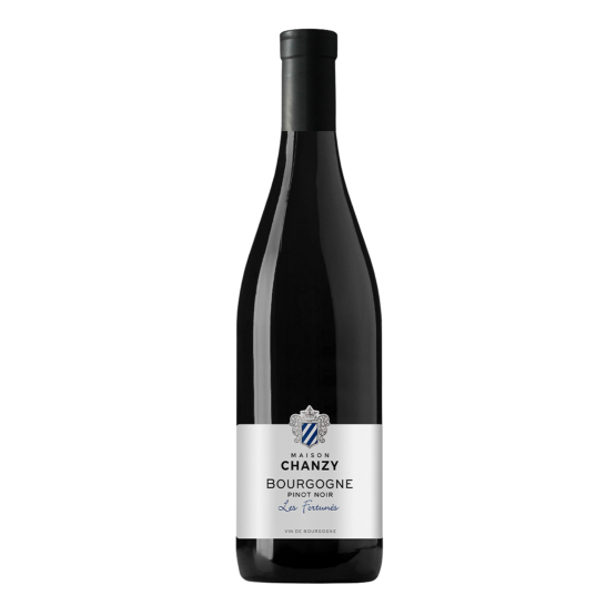 Bourgogne Les Fortunés 2024 Rouge Plaisirs du Vin - Dax Saint-Paul-lès-Dax FR 1141 Boulevard Saint-Vincent-de-Paul