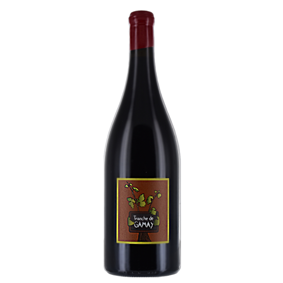 Tranche de gamay 2022 Rouge Magnum Plaisirs du Vin - Dax Saint-Paul-lès-Dax FR 1141 Boulevard Saint-Vincent-de-Paul