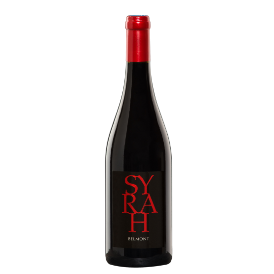 Syrah 2021 Rouge Plaisirs du Vin - Dax Saint-Paul-lès-Dax FR 1141 Boulevard Saint-Vincent-de-Paul