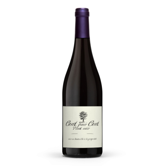 Cent Pour Cent Pinot Noir 2024 Rouge Magnum Plaisirs du Vin - Dax Saint-Paul-lès-Dax FR 1141 Boulevard Saint-Vincent-de-Paul