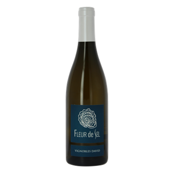 Fleur de Sel Blanc 2024 Magnum Plaisirs du Vin - Dax Saint-Paul-lès-Dax FR 1141 Boulevard Saint-Vincent-de-Paul