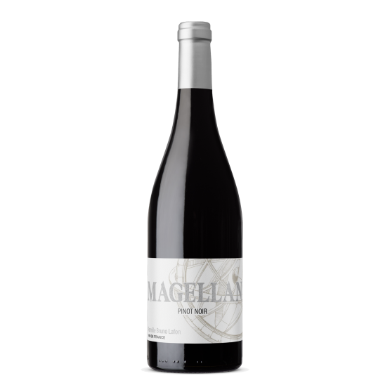 Pinot Noir 2024 Rouge Plaisirs du Vin - Dax Saint-Paul-lès-Dax FR 1141 Boulevard Saint-Vincent-de-Paul