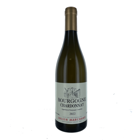 Bourgogne Chardonnay 2022 Blanc Plaisirs du Vin - Dax Saint-Paul-lès-Dax FR 1141 Boulevard Saint-Vincent-de-Paul