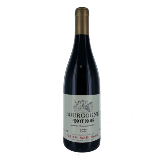 Bourgogne Pinot Noir 2022 Rouge Plaisirs du Vin - Dax Saint-Paul-lès-Dax FR 1141 Boulevard Saint-Vincent-de-Paul