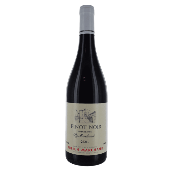 Pinot Noir 2023 Rouge Plaisirs du Vin - Dax Saint-Paul-lès-Dax FR 1141 Boulevard Saint-Vincent-de-Paul