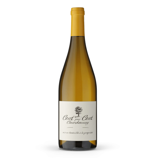 Cent pour Cent Chardonnay 2023 Blanc Plaisirs du Vin - Dax Saint-Paul-lès-Dax FR 1141 Boulevard Saint-Vincent-de-Paul