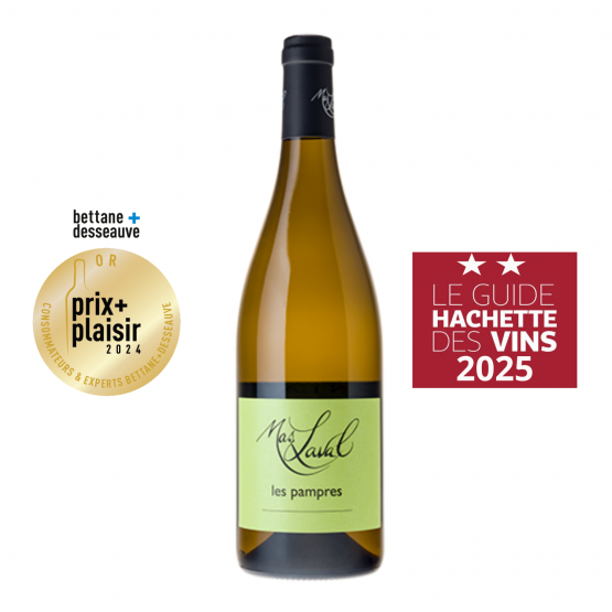 Les Pampres 2023 Blanc Plaisirs du Vin - Dax Saint-Paul-lès-Dax FR 1141 Boulevard Saint-Vincent-de-Paul