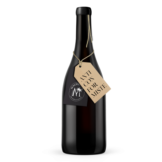 ANTICONFORMISTE Rouge 2022 Plaisirs du Vin - Dax Saint-Paul-lès-Dax FR 1141 Boulevard Saint-Vincent-de-Paul