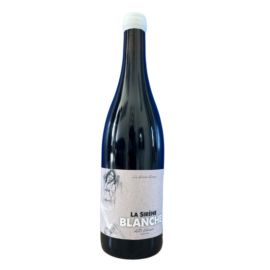 La Sirène Blanche 2023 Plaisirs du Vin - Dax Saint-Paul-lès-Dax FR 1141 Boulevard Saint-Vincent-de-Paul