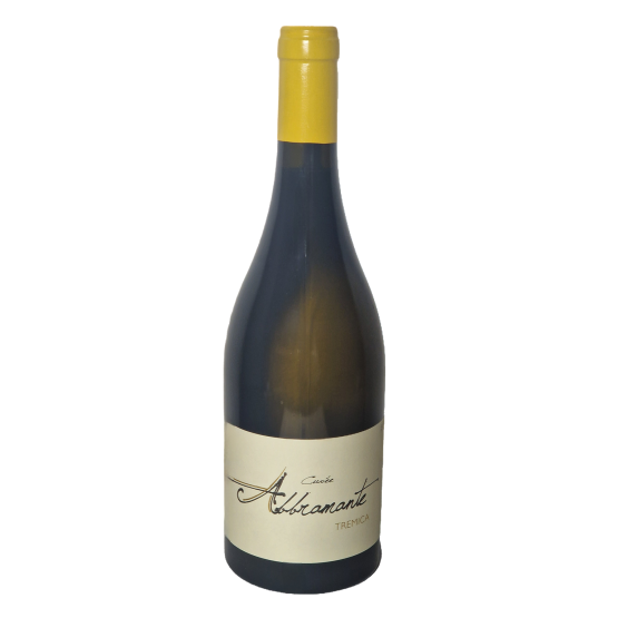 Abbramante 2025 Blanc Plaisirs du Vin - Dax Saint-Paul-lès-Dax FR 1141 Boulevard Saint-Vincent-de-Paul