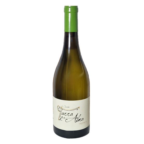 Tarra d'Alma Blanc 2025 Plaisirs du Vin - Dax Saint-Paul-lès-Dax FR 1141 Boulevard Saint-Vincent-de-Paul