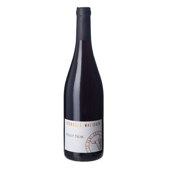 Demi Boeuf Pinot Noir 2024 Rouge Plaisirs du Vin - Dax Saint-Paul-lès-Dax FR 1141 Boulevard Saint-Vincent-de-Paul