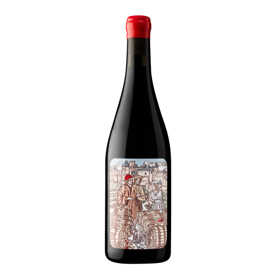 Pinot Noir 2024 Rouge Plaisirs du Vin - Dax Saint-Paul-lès-Dax FR 1141 Boulevard Saint-Vincent-de-Paul