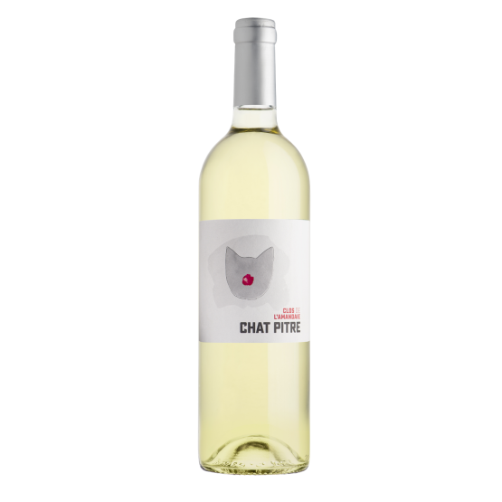 Chat Pitre Blanc 2025 Plaisirs du Vin - Dax Saint-Paul-lès-Dax FR 1141 Boulevard Saint-Vincent-de-Paul