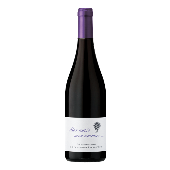 Mes Amis, mes amours 2025 Rouge Plaisirs du Vin - Dax Saint-Paul-lès-Dax FR 1141 Boulevard Saint-Vincent-de-Paul