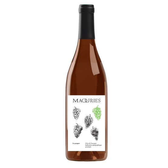 Les Grappes 2025 Blanc Plaisirs du Vin - Dax Saint-Paul-lès-Dax FR 1141 Boulevard Saint-Vincent-de-Paul