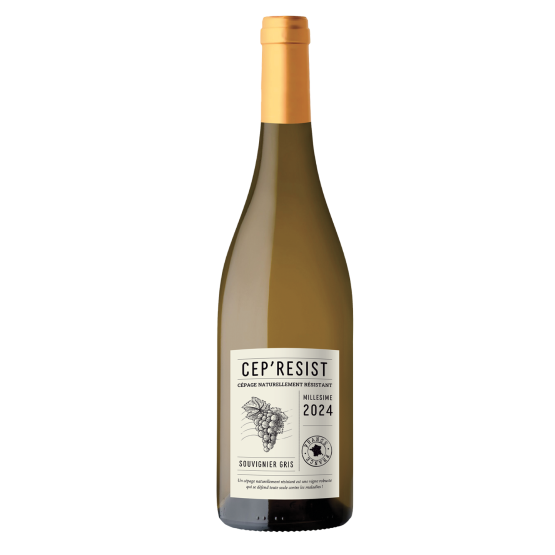 Cep'Resist Blanc 2025 Plaisirs du Vin - Dax Saint-Paul-lès-Dax FR 1141 Boulevard Saint-Vincent-de-Paul