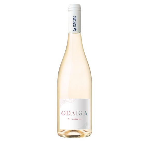 Odaïga Blanc 2025 Plaisirs du Vin - Dax Saint-Paul-lès-Dax FR 1141 Boulevard Saint-Vincent-de-Paul