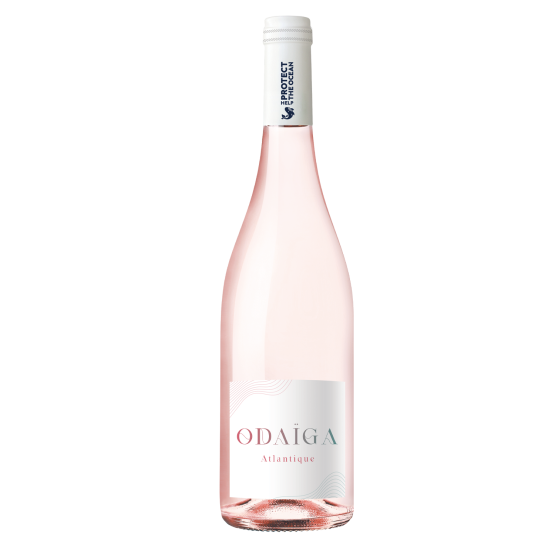 Odaïga Rosé 2025 Plaisirs du Vin - Dax Saint-Paul-lès-Dax FR 1141 Boulevard Saint-Vincent-de-Paul