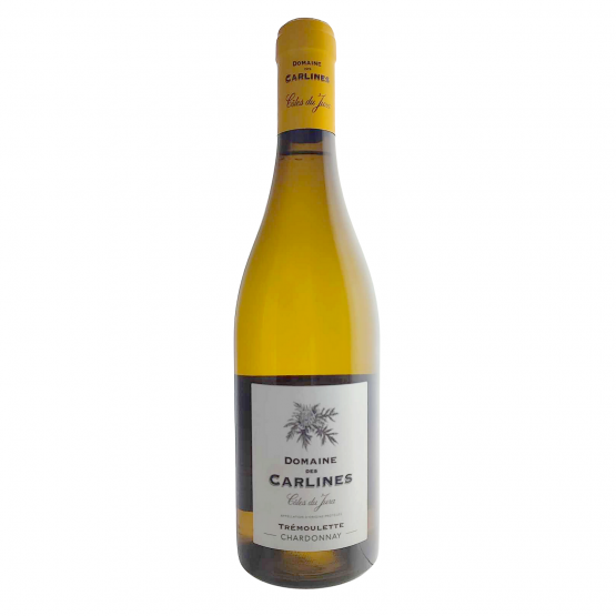 Tremoulette 2021 Blanc Plaisirs du Vin - Dax Saint-Paul-lès-Dax FR 1141 Boulevard Saint-Vincent-de-Paul