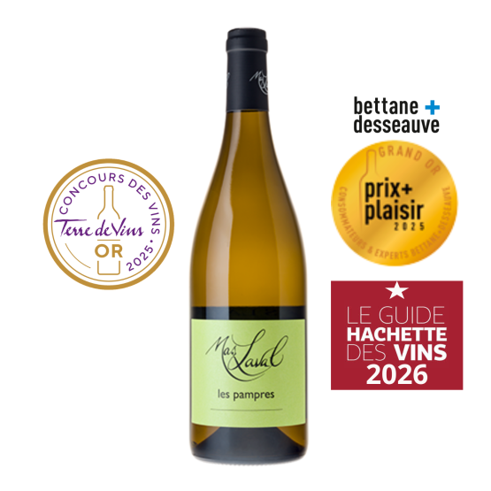 Les Pampres 2024 Blanc Plaisirs du Vin - Dax Saint-Paul-lès-Dax FR 1141 Boulevard Saint-Vincent-de-Paul