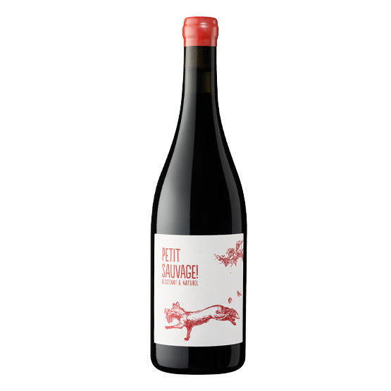 Petit Sauvage 2024 Rouge Plaisirs du Vin - Dax Saint-Paul-lès-Dax FR 1141 Boulevard Saint-Vincent-de-Paul