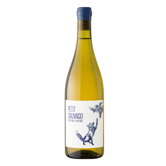 Petit Sauvage 2024 Blanc Plaisirs du Vin - Dax Saint-Paul-lès-Dax FR 1141 Boulevard Saint-Vincent-de-Paul