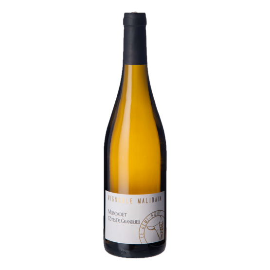 Le Demi-Boeuf Muscadet 2024 Blanc Plaisirs du Vin - Dax Saint-Paul-lès-Dax FR 1141 Boulevard Saint-Vincent-de-Paul