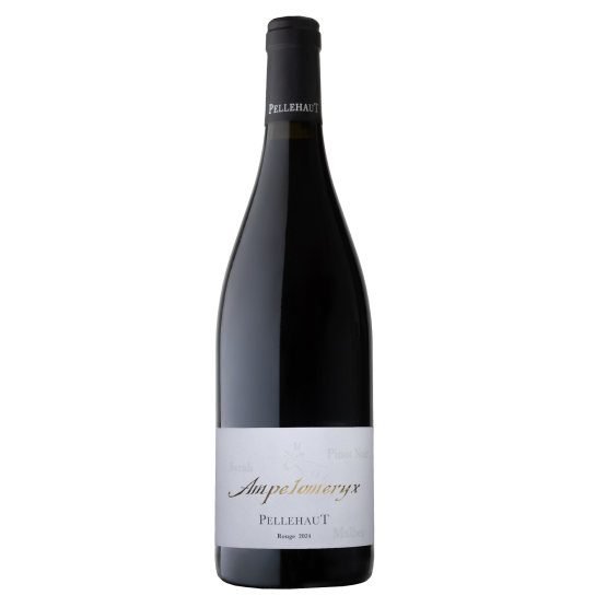 Ampélomeryx Rouge 2024 Plaisirs du Vin - Dax Saint-Paul-lès-Dax FR 1141 Boulevard Saint-Vincent-de-Paul