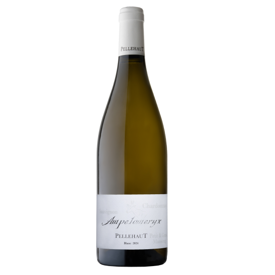 Ampelomeryx 2023 Blanc Plaisirs du Vin - Dax Saint-Paul-lès-Dax FR 1141 Boulevard Saint-Vincent-de-Paul