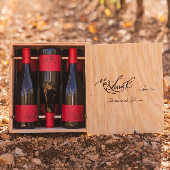 Cuvée Léna 2023 Coffret bois 6 bouteilles Plaisirs du Vin - Dax Saint-Paul-lès-Dax FR 1141 Boulevard Saint-Vincent-de-Paul