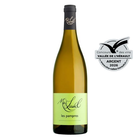 Les Pampres 2025 Blanc Plaisirs du Vin - Dax Saint-Paul-lès-Dax FR 1141 Boulevard Saint-Vincent-de-Paul