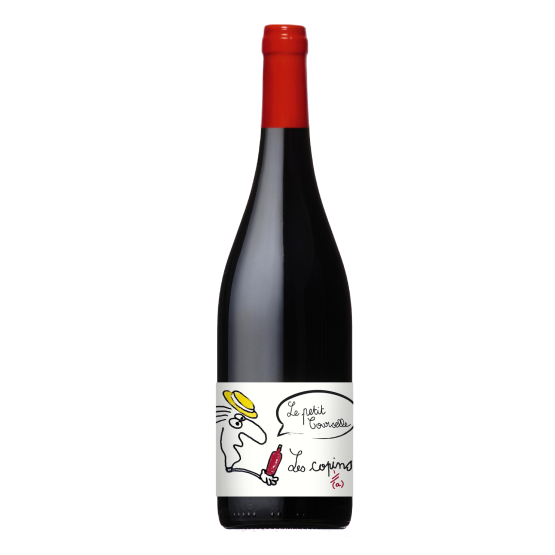 Petit Courselle Les Copains 2024 Rouge Plaisirs du Vin - Dax Saint-Paul-lès-Dax FR 1141 Boulevard Saint-Vincent-de-Paul