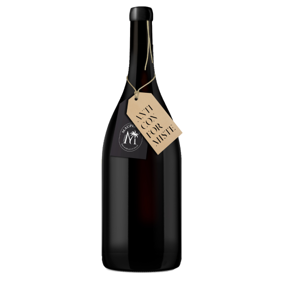 ANTICONFORMISTE Rouge 2022 Magnum Plaisirs du Vin - Dax Saint-Paul-lès-Dax FR 1141 Boulevard Saint-Vincent-de-Paul