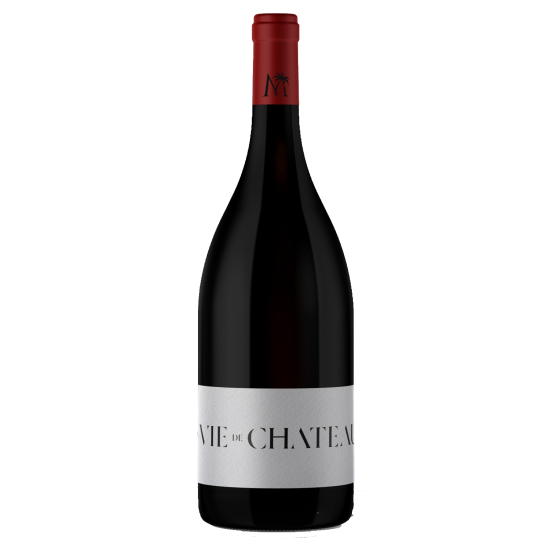 La VIE de CHATEAU 2020 Rouge Magnum Plaisirs du Vin - Dax Saint-Paul-lès-Dax FR 1141 Boulevard Saint-Vincent-de-Paul