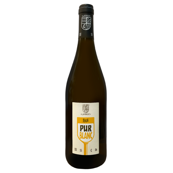 100 % Pur Blanc 2025 Plaisirs du Vin - Dax Saint-Paul-lès-Dax FR 1141 Boulevard Saint-Vincent-de-Paul